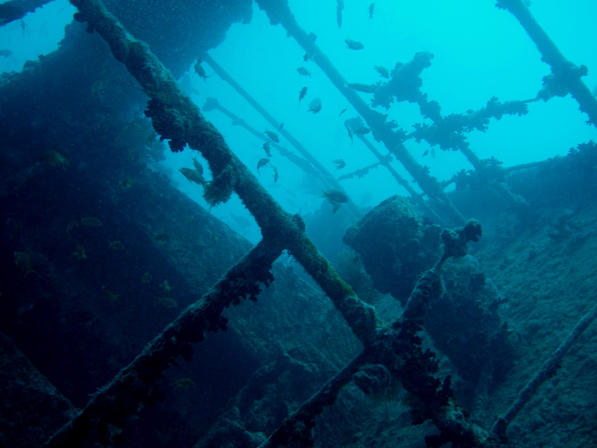 Blue Hole, Abu Talha & SS Thistlegorm — Photo 4
