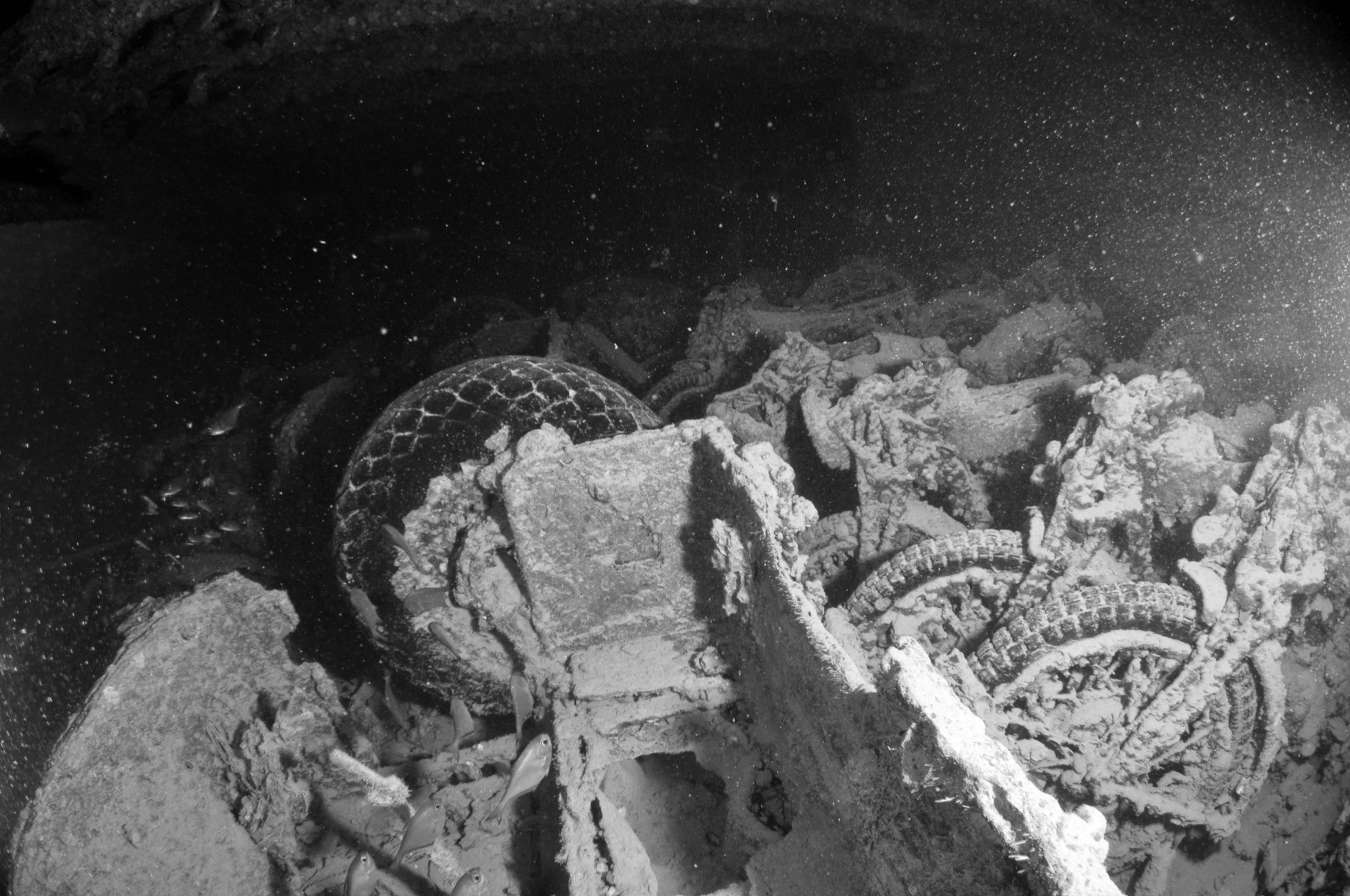 Blue Hole, Abu Talha & SS Thistlegorm — Photo 3